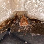 Crawl-Space-Mold-Removal-Pure-Maintenance-1.jpg
