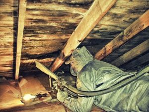 Mold Removal Southwest Portland OR