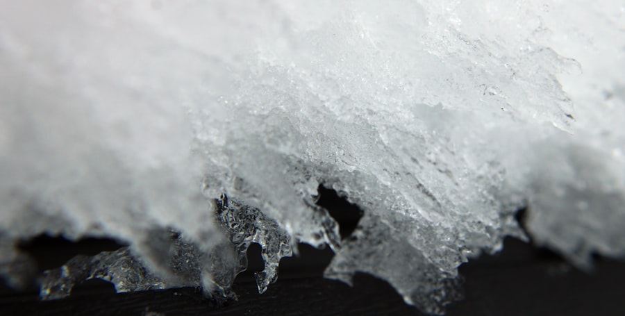 Chaetomium Mold Removal