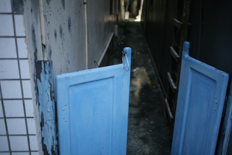 Mold Remediation Service