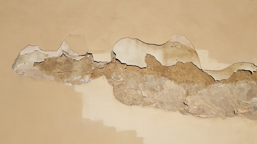 Mold Testing