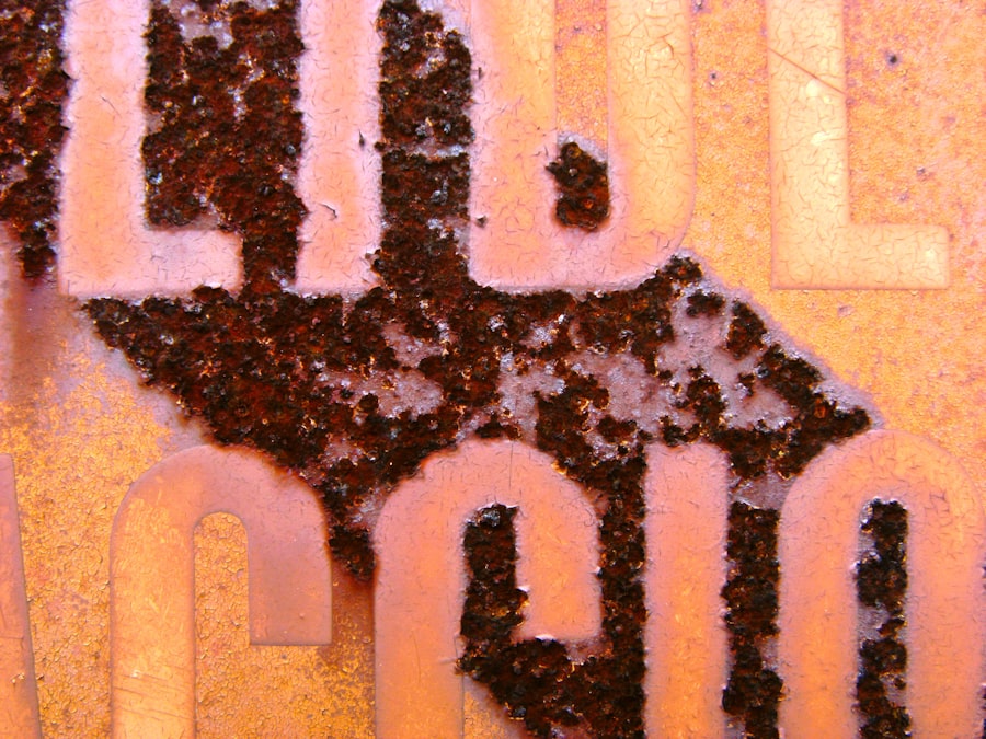 Black Mold Removal