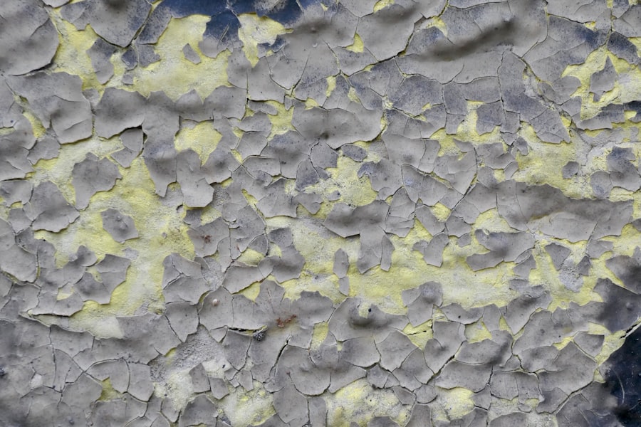 Chaetomium Mold Removal
