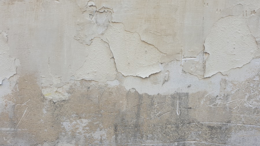 Dry Wall Removal