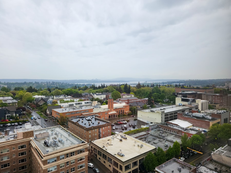 Photo Mold Testing Portland Oregon