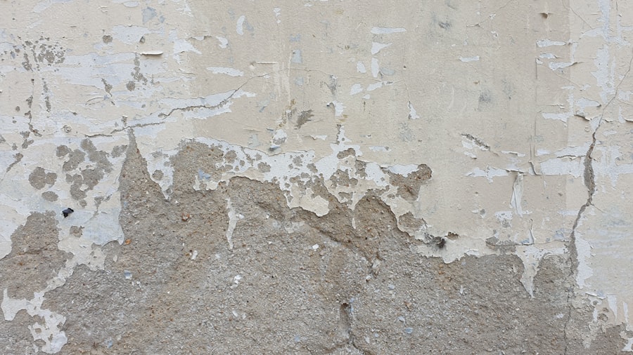 Photo Chaetomium Mold Removal