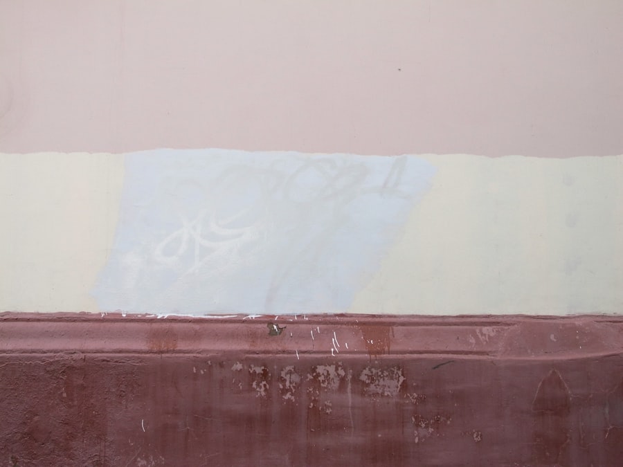 Photo Mold Testing