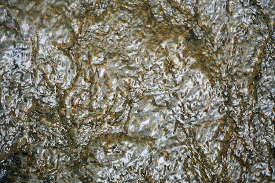 Photo Chaetomium Mold Removal
