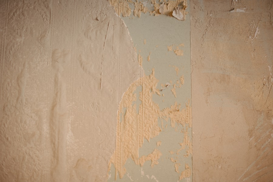 Photo Basement Mold Removal