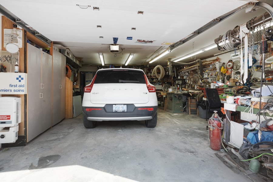 Photo Basement Mold Removal