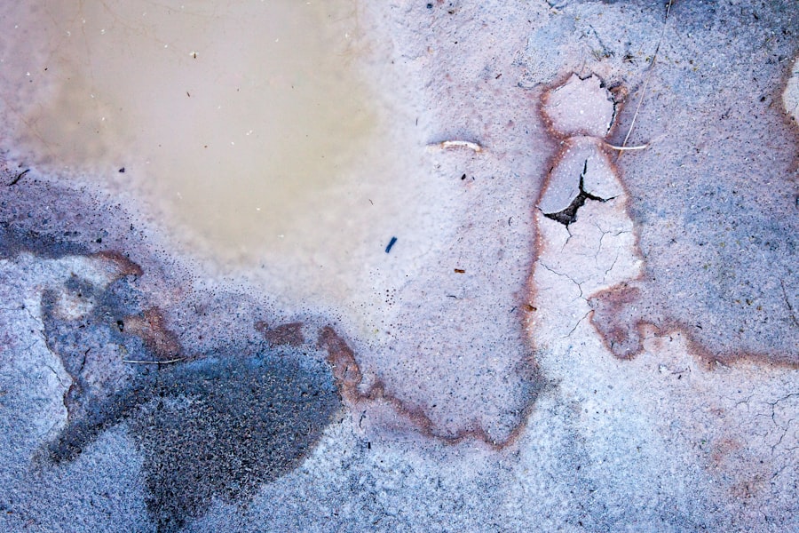 Photo Black Mold Removal